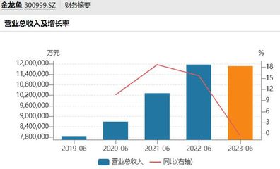 保定魚缸批發(fā)市場(chǎng)：一站式水族用品采購天堂