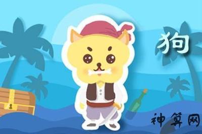 属狗命里缺什么