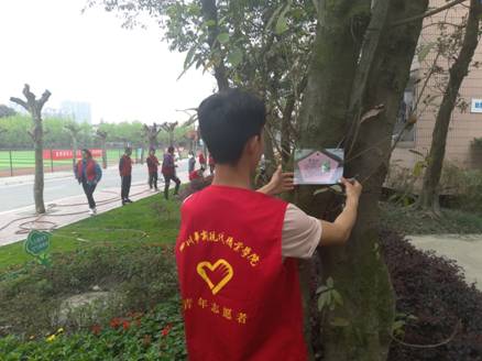 CACHECACHE是名牌吗