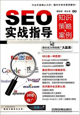 seo专题搭建什么意思_seo实战建立什么主题