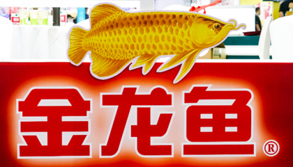 普通魚缸能養(yǎng)海魚嗎（普通魚缸能養(yǎng)海魚嗎?）